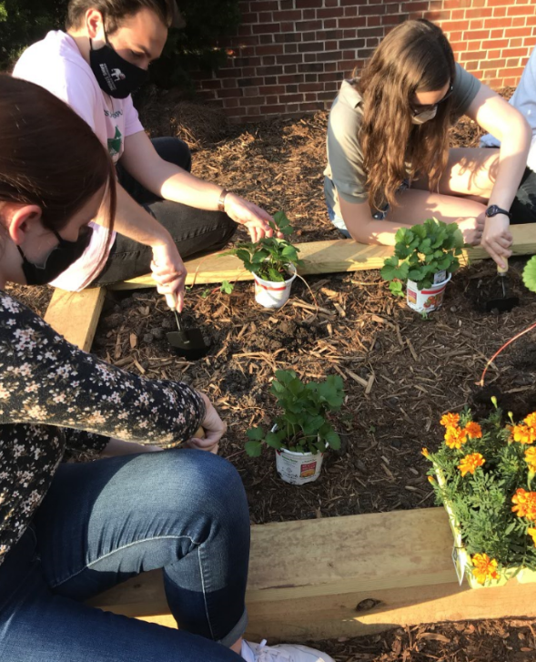 FRC students planting in the community garden in Spring 2021