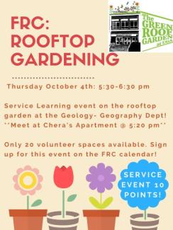 Rooftop Gardening 10.4