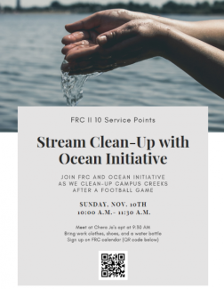 stream clean up poster