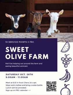 sweet olive poster